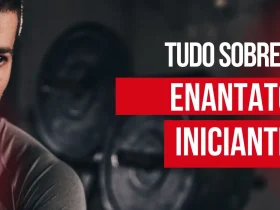 enantato de testosterona para iniciantes